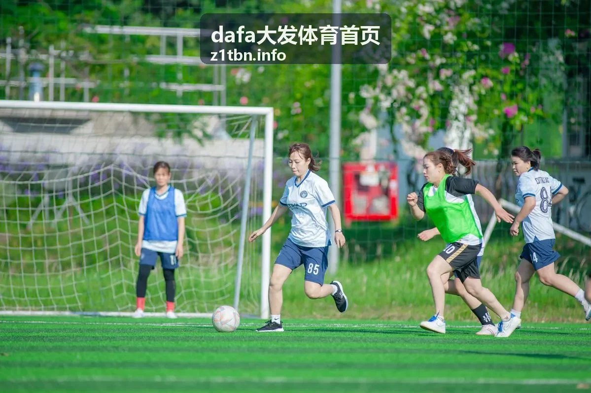 进度自动追踪 dafa大发体育首页